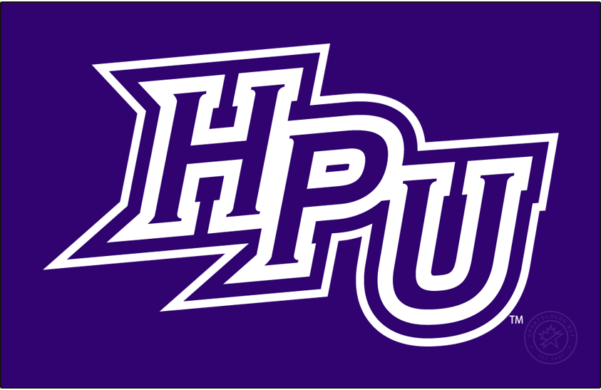 High Point Panthers 2012-Pres Primary Dark Logo iron on transfers for T-shirts